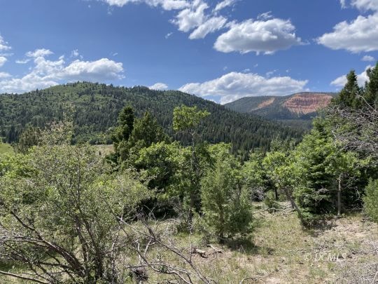 A wow! view from the lots