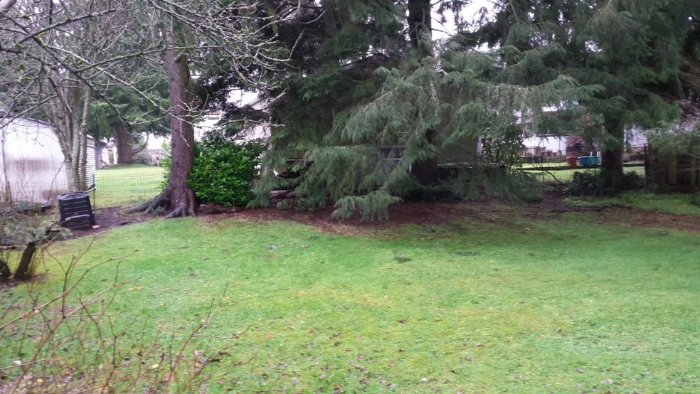 8904 4th Ave W, Everett, WA 98204 - photo 1