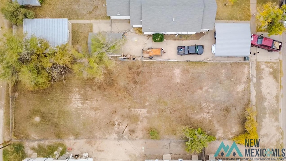 310 N Mesquite St, Carlsbad, NM 88220 - photo 1