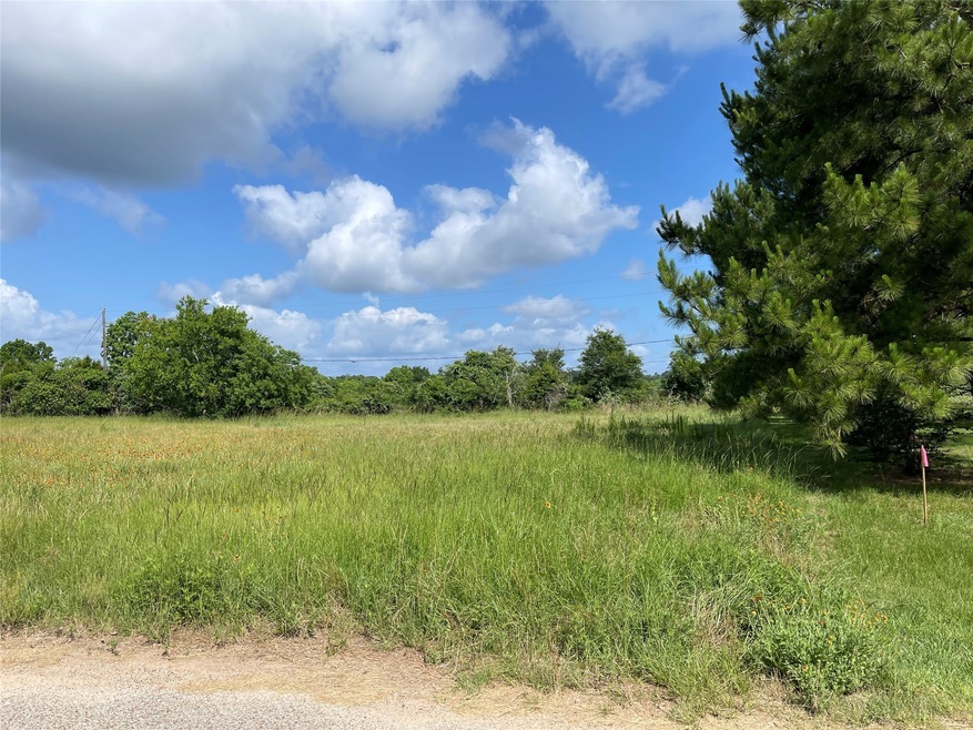 0 W Pine Hill St, Pinehurst, TX 77362 - photo 1