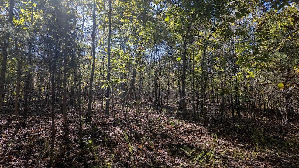 000 Wetumka Dr, Cherokee Village, AR 72529 - photo 1