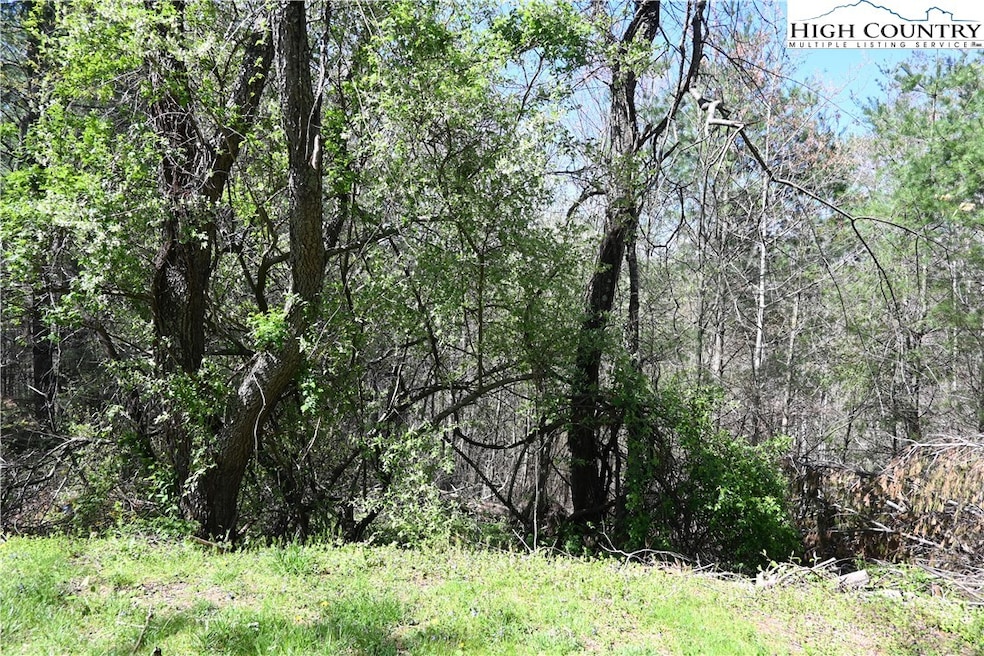 15 River Bend Hills Rd, Crumpler, NC 28617 - photo 1