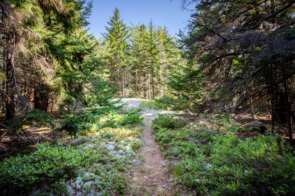 15-Lot8RockGardenWay-SealHarbor