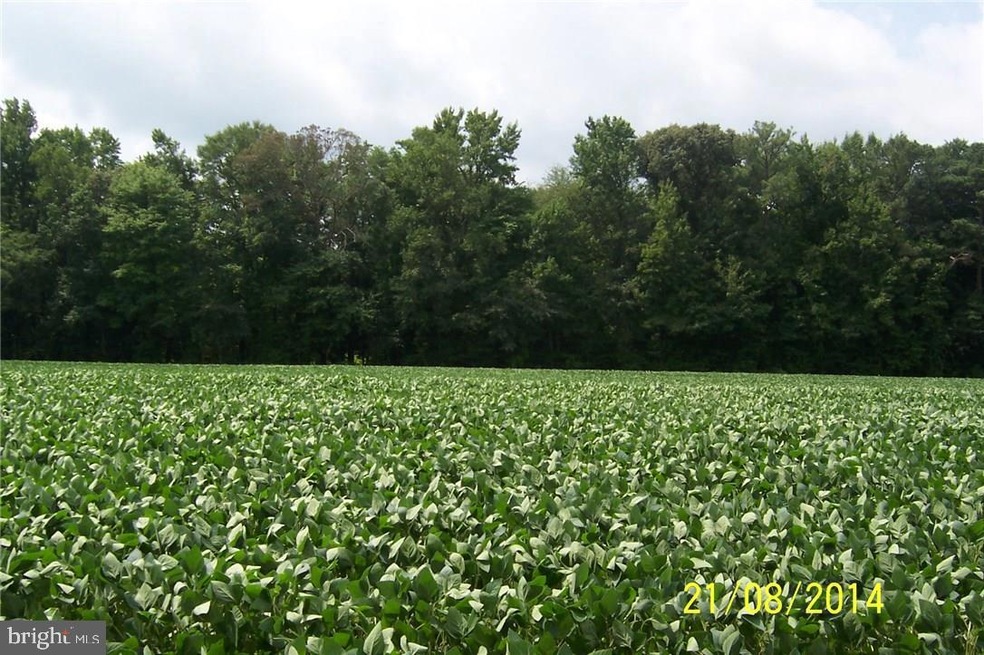 0 Breasure Rd unit 1001012270, Georgetown, DE 19947 - photo 1