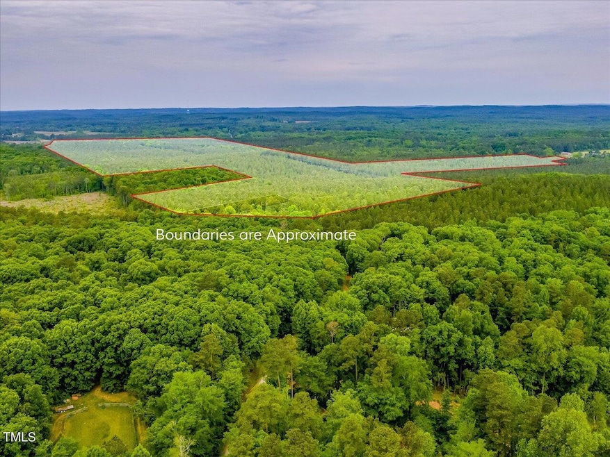 0 Alston Chapel Rd unit 10002080, Pittsboro, NC 27312 - photo 1