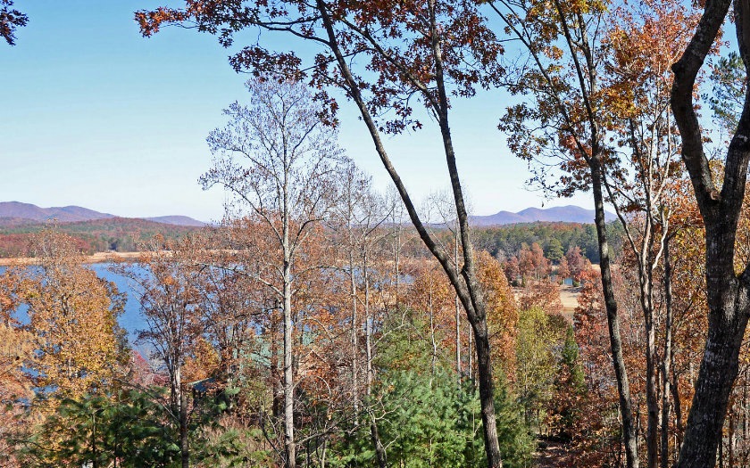 Main View