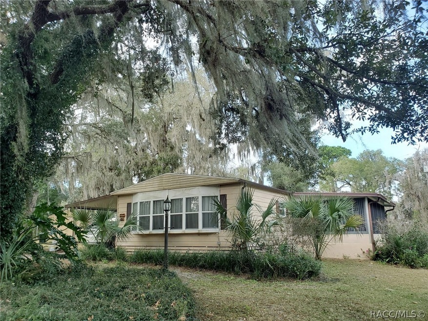 Mature oaks