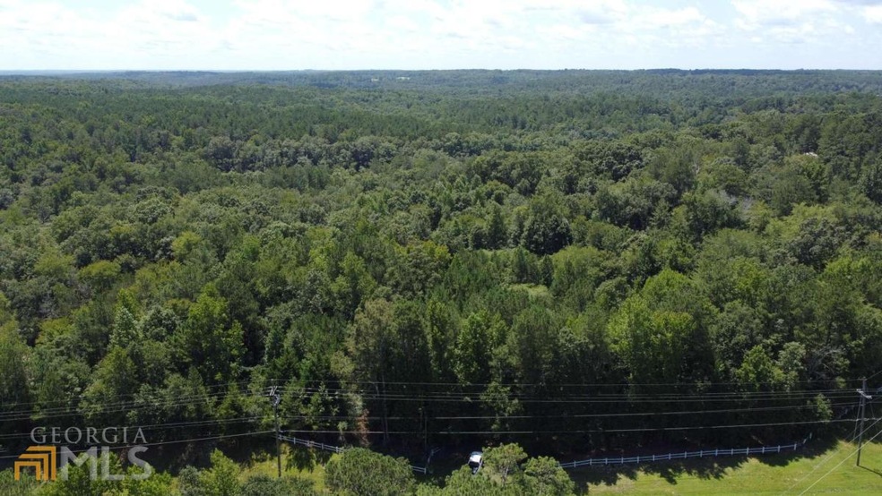 0 N Hwy 20 unit 10077195, Loganville, GA 30052 - photo 1