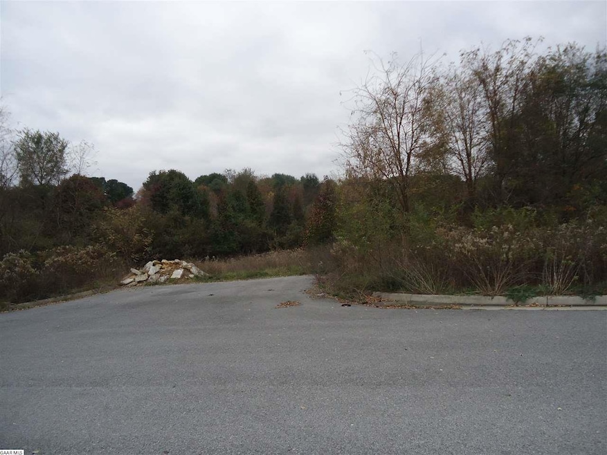 tbd Lot 4 Pratts Run Ln, Waynesboro, VA 22980 - photo 1