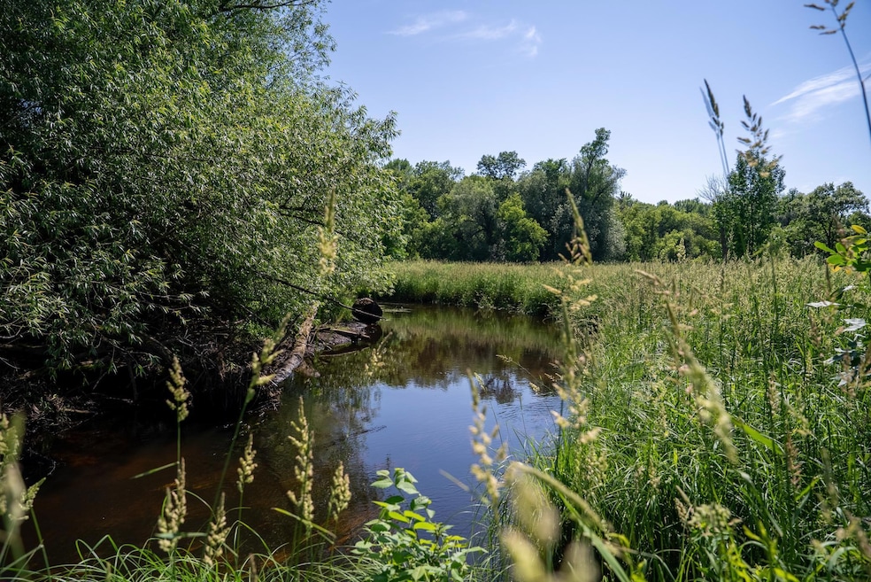 River close up 2.jpg