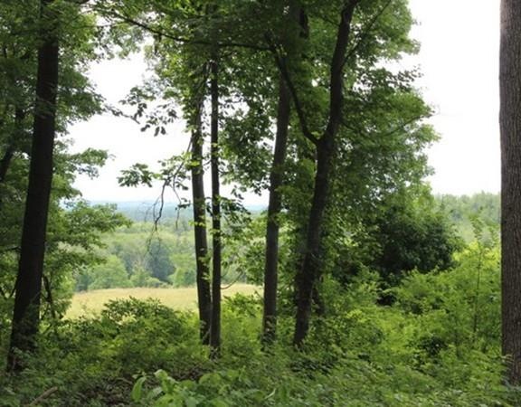 0 Old Bay Rd, Bolton, MA 01740 - photo 1