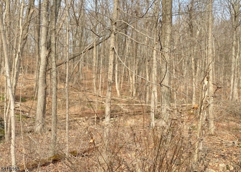 11 Sleepy Hollow Rd, Vernon Township, NJ 07461 - photo 1