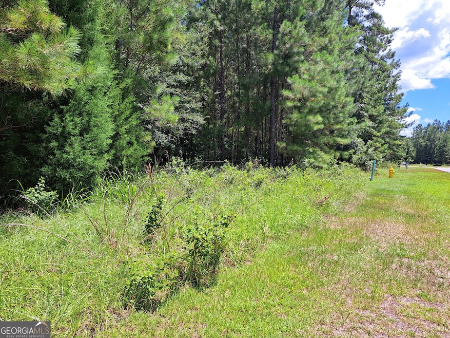 0 Shoreline Dr unit 10570833, Kingsland, GA 31548 - photo 1