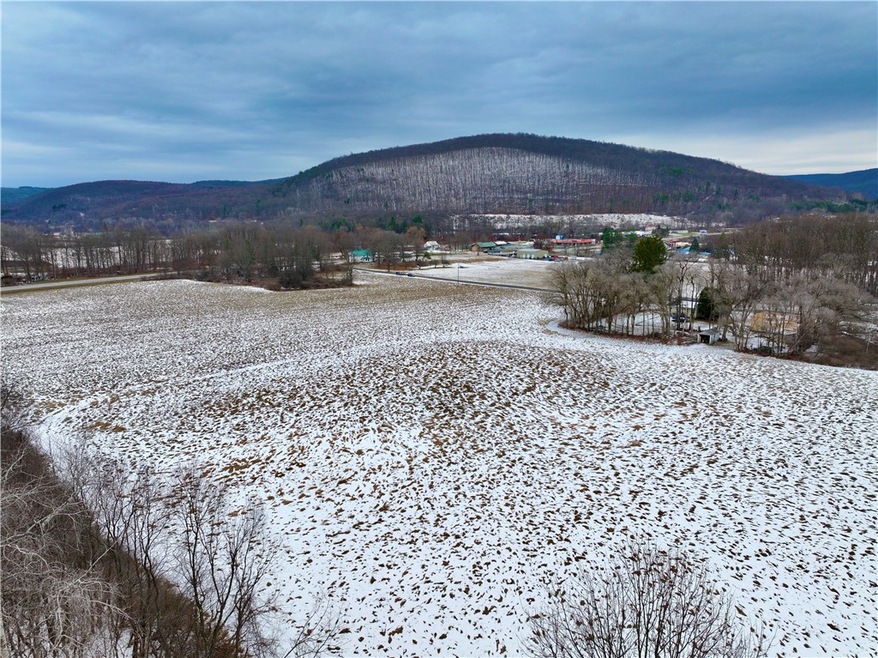 0 Conkrite Rd, Cayuta, NY 14824 - photo 1