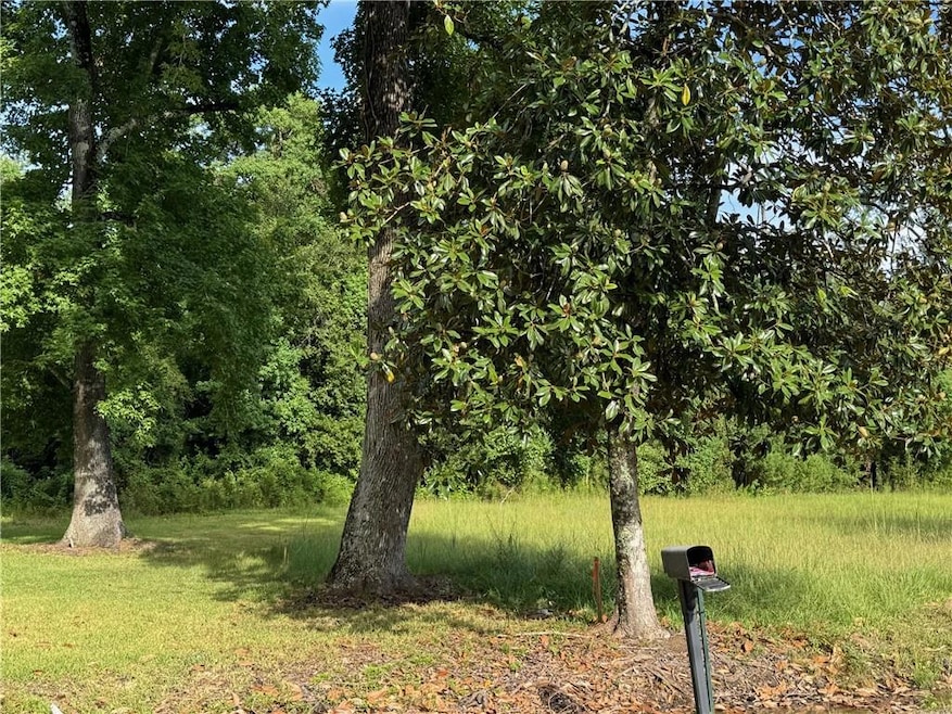 32882 Lower Rome Rd, Springfield, LA 70462 - photo 1