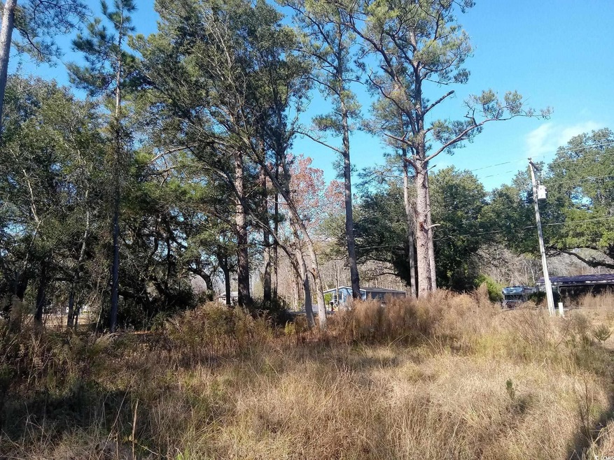 3800 Kickapoo Dr unit LOT 4, Green Sea, SC 29545 - photo 1