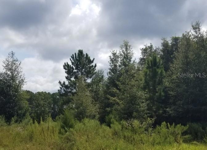 0 SW 202nd Ct unit MFROM688436, Dunnellon, FL 34431 - photo 1