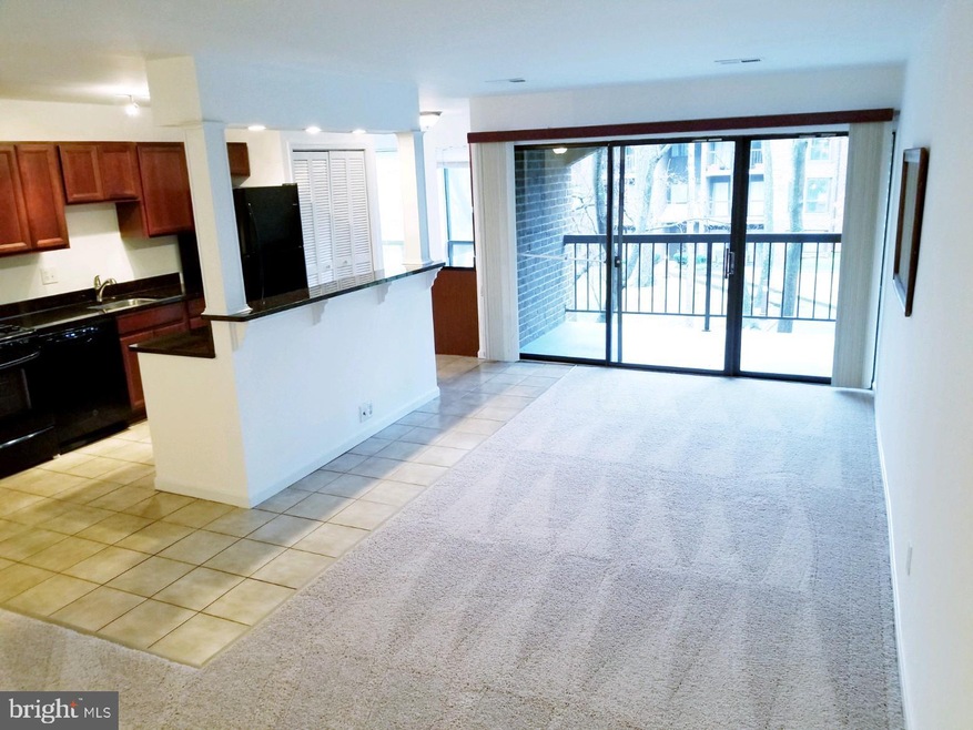 Chestnut Grove Condominiums unit 11256-244, Reston, VA 20190 - photo 1