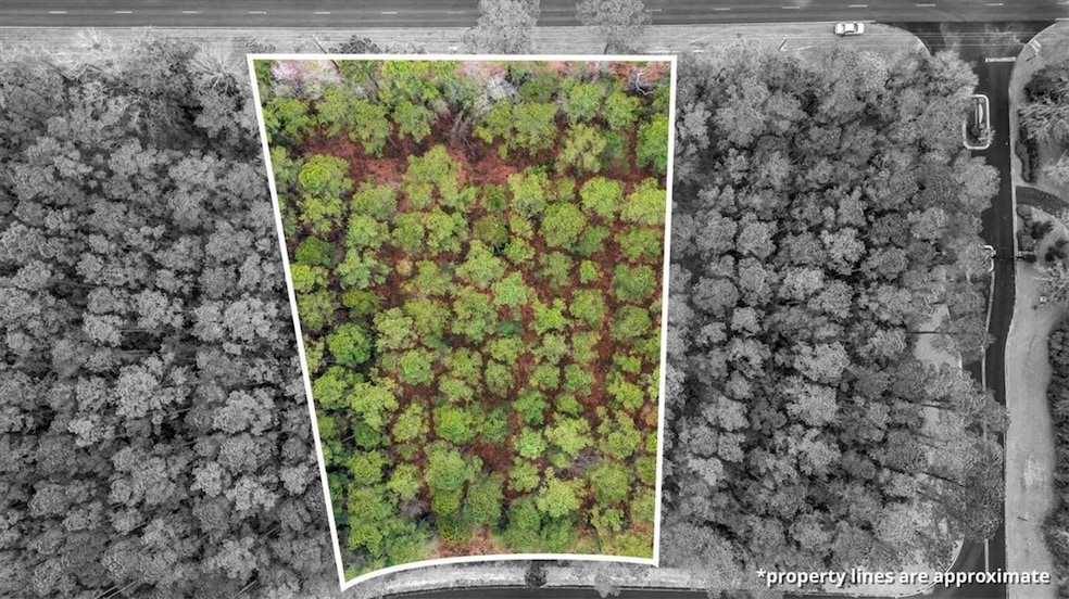 LOT 83 Fiddlers Cove NE, Townsend, GA 31331 - photo 1