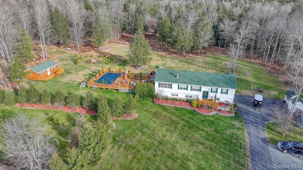 226 Big Woods Rd, Harris, NY 12742 - photo 1