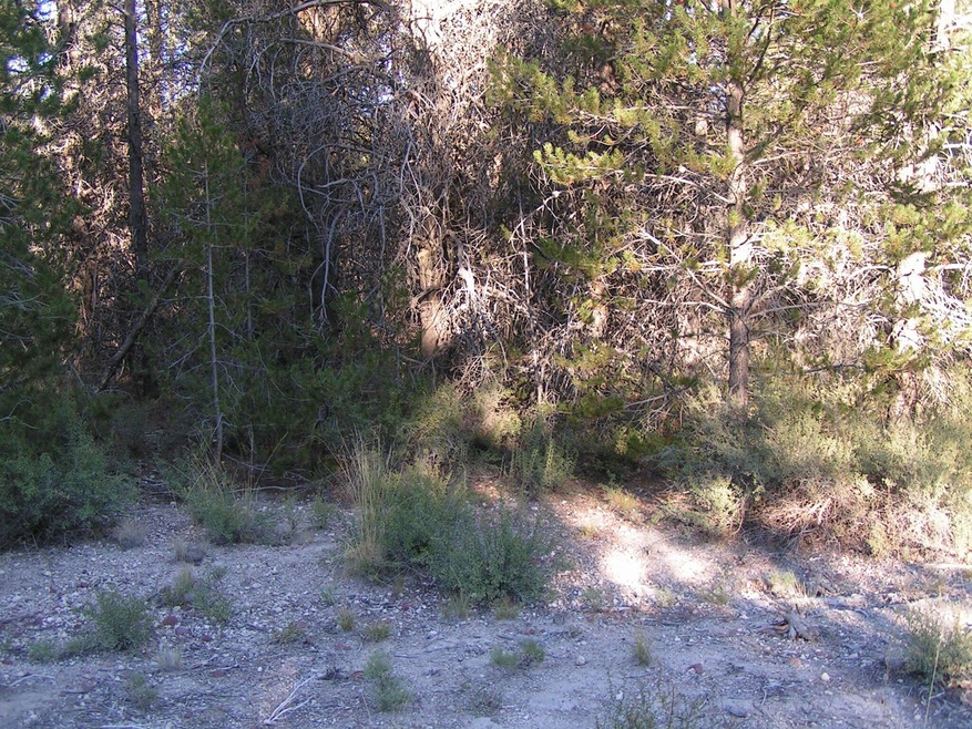 Lot 12 Mt Scott Meadows .93 acres