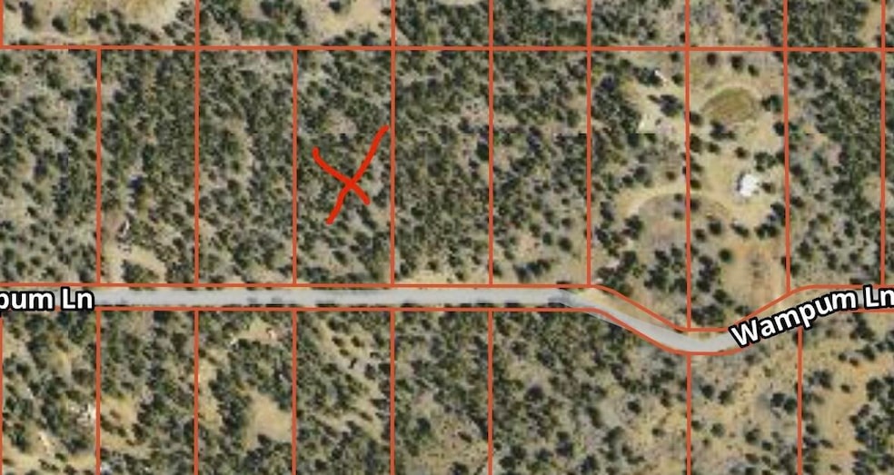 Lot 27