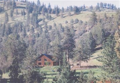Primary Photo
