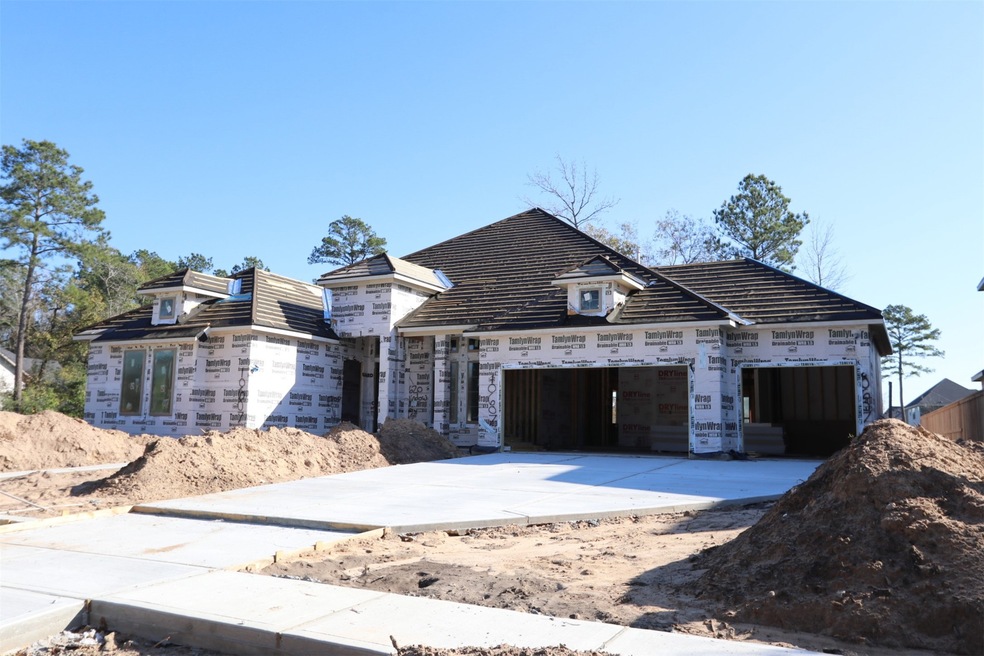 10607 Lake Palmetto Dr, Conroe, TX 77385 - photo 1