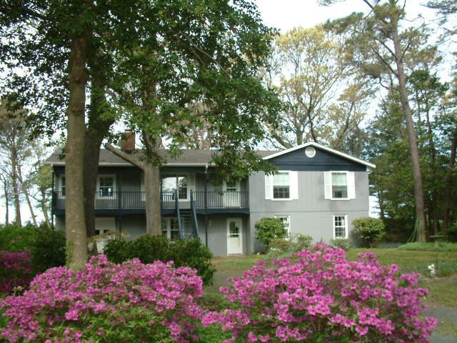 Main View