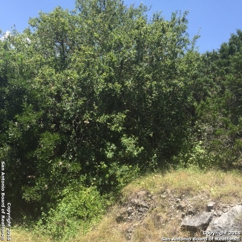 11231 & 11243 Quail Crossing, Helotes, TX 78023 - photo 1