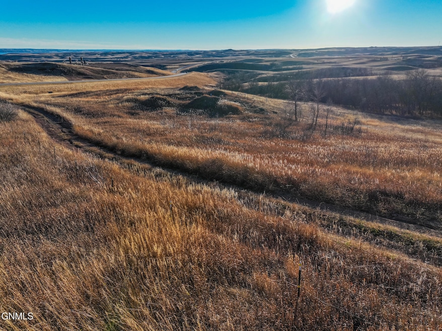 DJI_20241104133557_0563_D