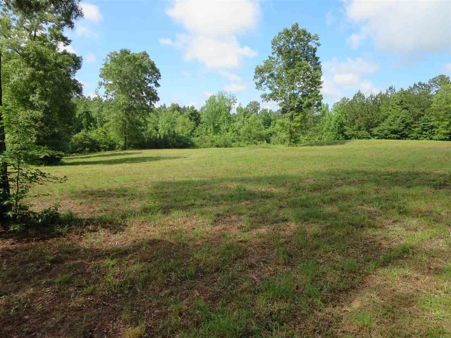 169 King Collier Rd, Brandon, MS 39042 - photo 1