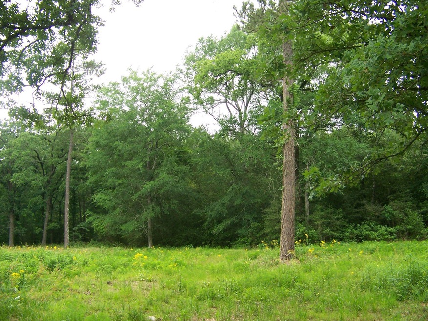 25163 Lakeside Dr, Hockley, TX 77447 - photo 1