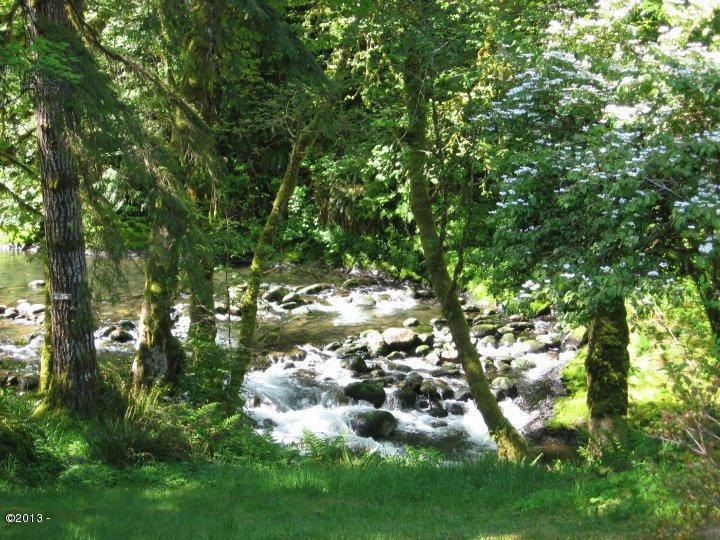 Beautiful Creek View