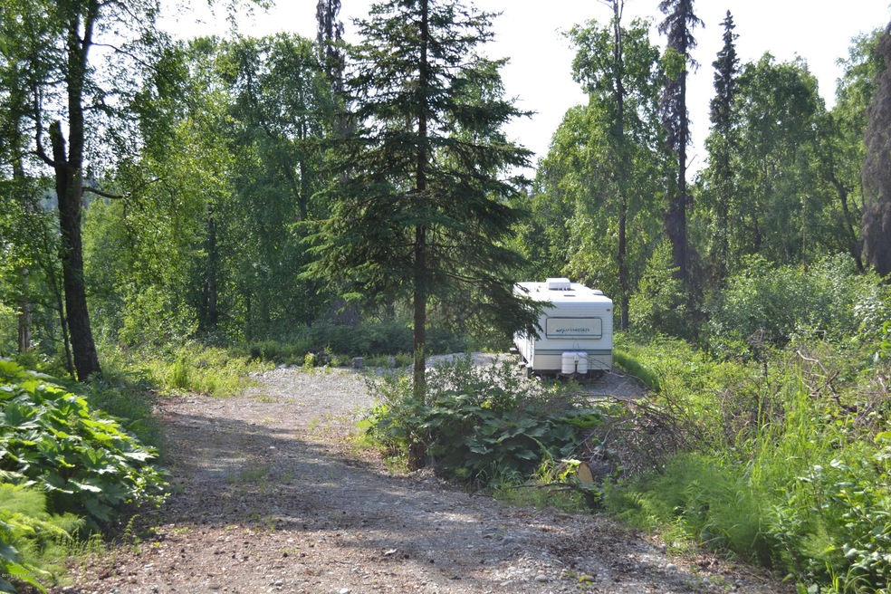 Cleared and leveled area