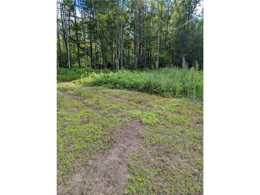 22803 Paulich Rd, Lewis, WI 54837 - photo 1