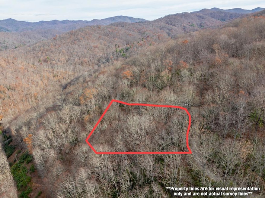 Lot 5 Mt Tabor, Franklin, NC 28781 - photo 1