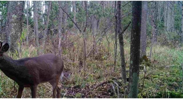 Lt0 Johnson Dr, Manitowoc, WI 54220 - photo 1