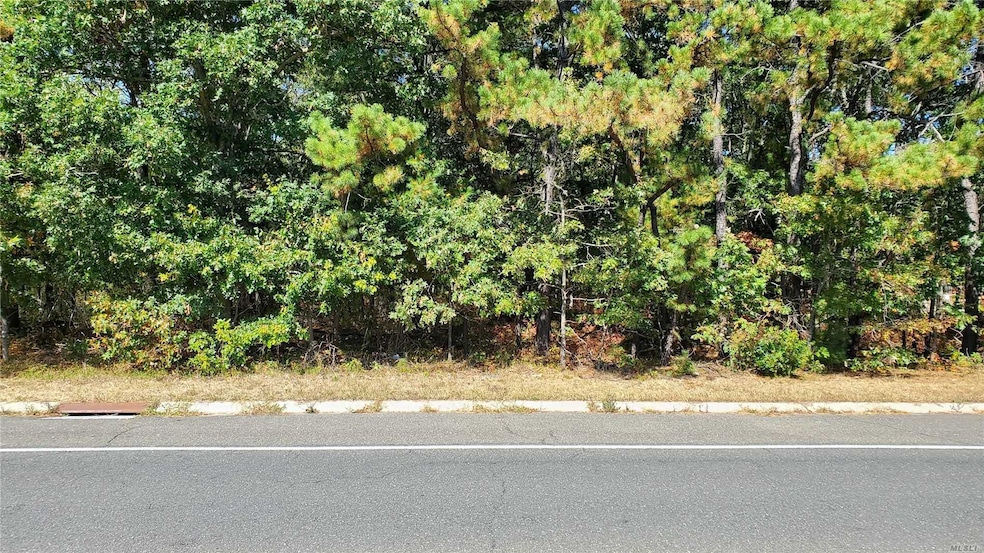 Lot 38 N Expressway Dr, Medford, NY 11763 - photo 1
