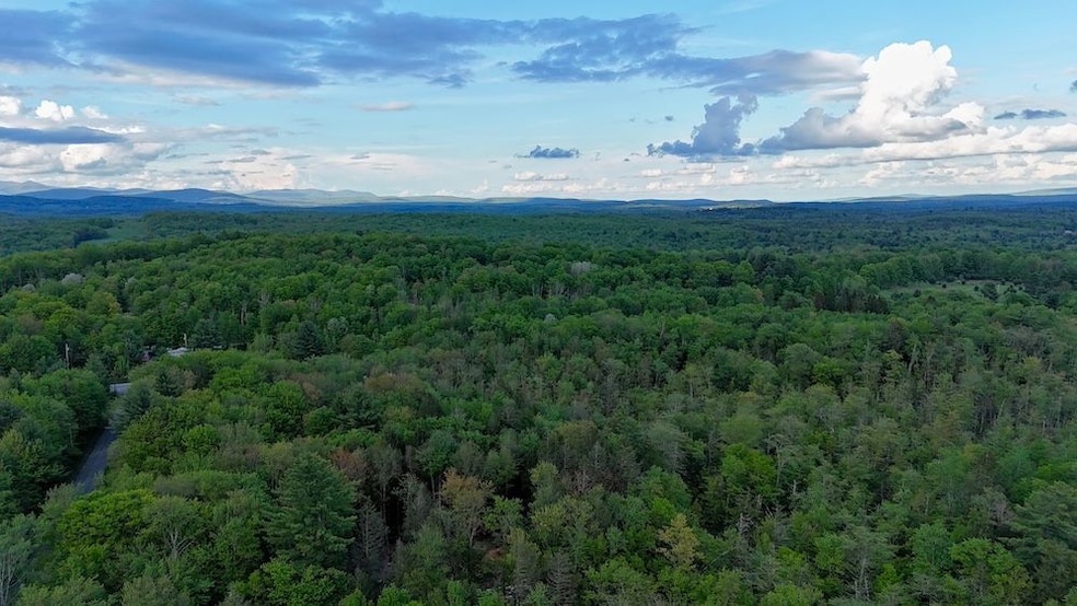 00 Mt Laurel Rd unit LotWP001, Greenfield Park, NY 12435 - photo 1