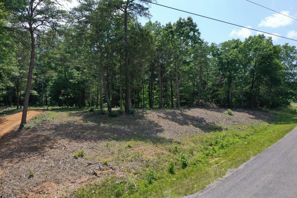 1901 New Era Ridge Rd, Linden, TN 37096 - photo 1