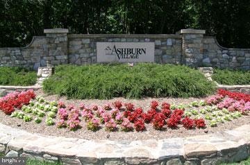 20499 Cool Fern Square, Ashburn, VA 20147 - photo 1