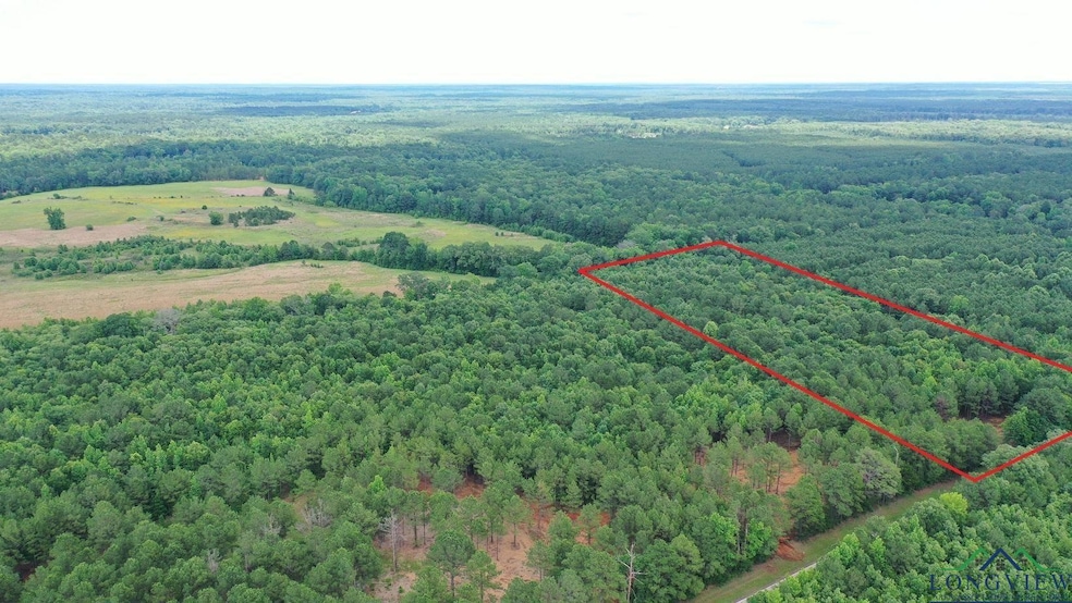 Aerial view of property and surrounding area featuring a forest and property boundaries highlighted