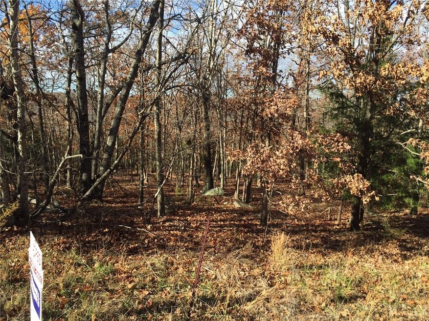 0 SE Slaty Gap Cr# 4149 Rd unit 1032281, West Fork, AR 72744 - photo 1