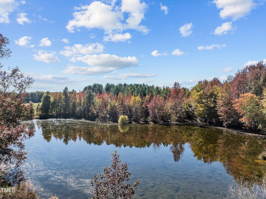 Lovely view of pond