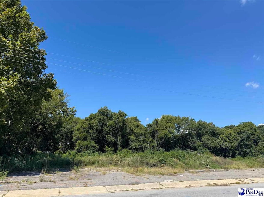 635 N Coit St, Florence, SC 29501 - photo 1