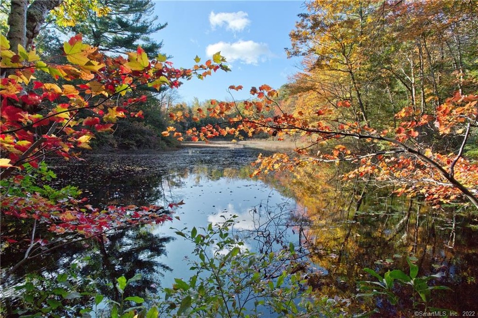 beautiful pond situated in the middle of the lot