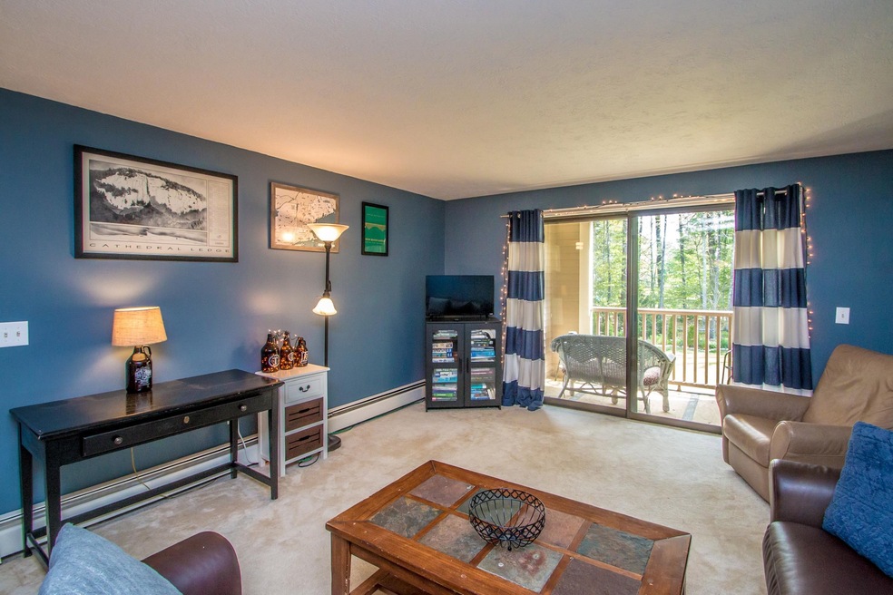 19 Saco St unit 9, Center Conway, NH 03813 - photo 1