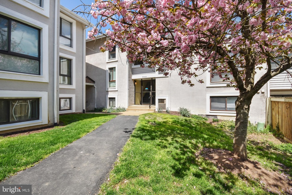8605E Village Way, Alexandria, VA 22309 - photo 1