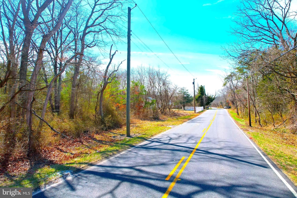 271 Shoemaker Ln, Bridgeton, NJ 08302 - photo 1